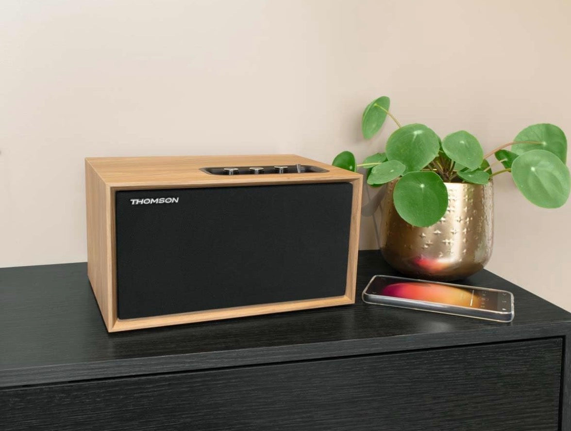 Enceinte de salon haute qualité en bois - Thomson